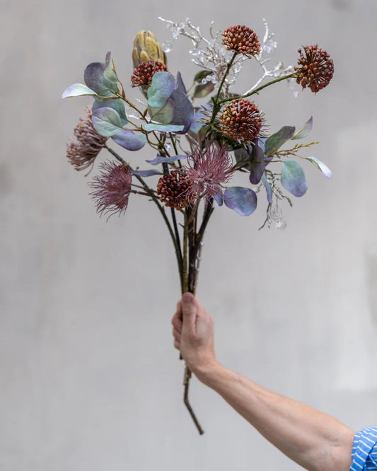 Allium stilk - Evighedsblomst