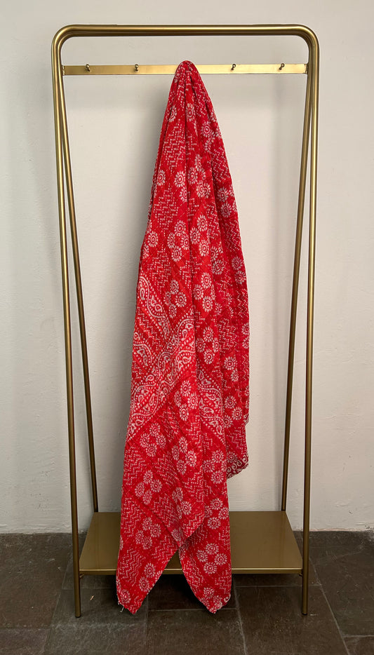 Kantha Tæppe - 1099