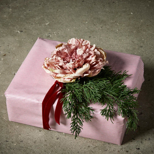 Pæon hoved Rose - Evighedsblomst