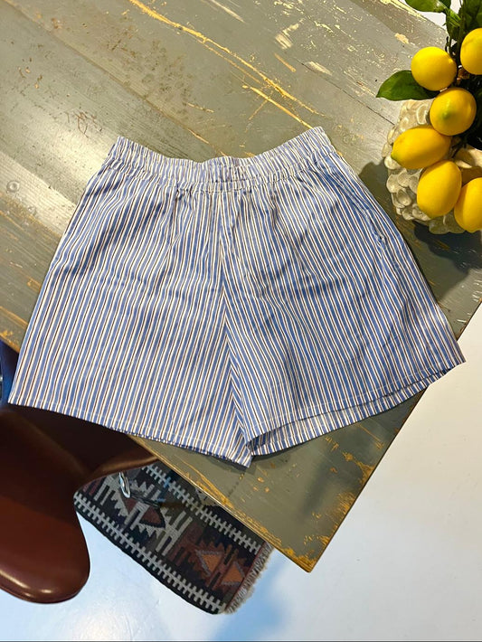 Skall Shorts - Blue/Brown Stripe