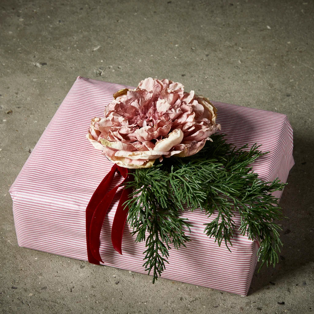 Pæon hoved Rose - Evighedsblomst