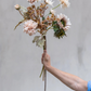 Solsikke stilk - Evighedsblomst