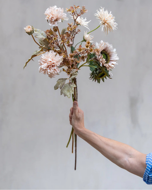 Solsikke stilk - Evighedsblomst