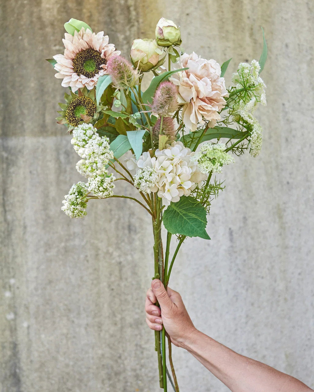Vild gulerod stilk - Evighedsblomst
