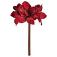 Amaryllis stilk